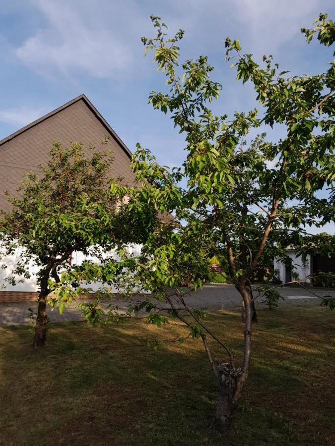 Casa Natur Medebach Bagian luar foto